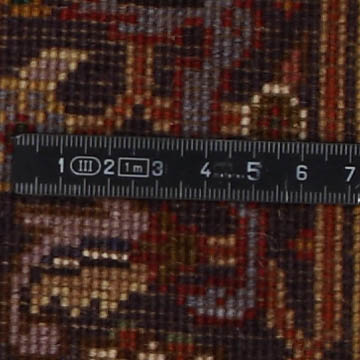 Knoten Detailansicht