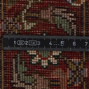 Knoten Detailansicht
