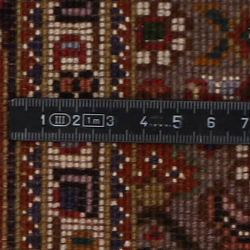 Knoten Detailansicht