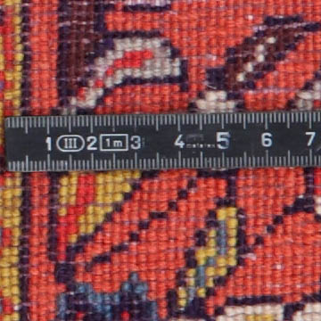 Knoten Detailansicht