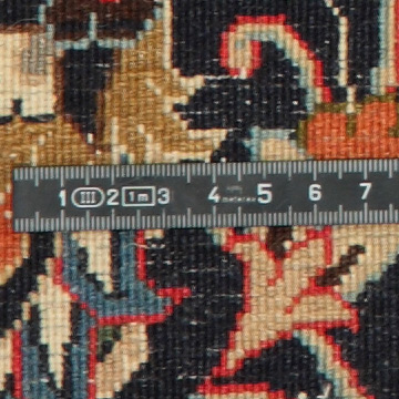 Knoten Detailansicht