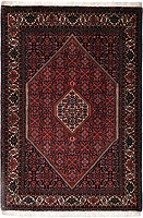 8907 - Bidjar 169x120cm