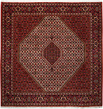 10148 - Bidjar 251x250cm