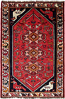 10946 - Shiraz 237x160cm