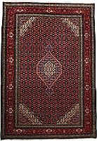 11476 - Tabriz 304x215cm