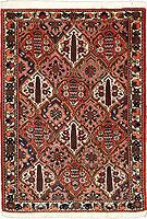 4754 - Bachtiar 158x116cm