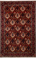 5366 - Bachtiar 324x209cm