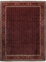 6348 - Bidjar 341x255cm
