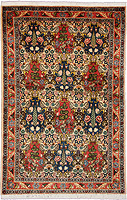 7849 - Bachtiar 157x106cm