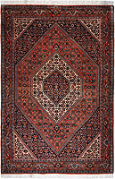 8842 - Bidjar 166x112cm