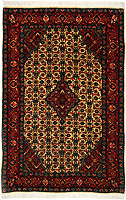 922881 - Sarough 155x100cm