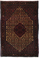 945566 - Bidjar 167x114cm