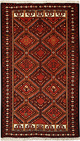 9689 - Balutsh 174x104cm