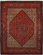 980102 - Bidjar 268x209cm