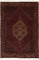 980876 - Bidjar 165x114cm