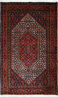 990622 - Bidjar 175x111cm