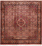 991471 - Bidjar 166x158cm