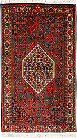993795 - Bidjar 152x89cm
